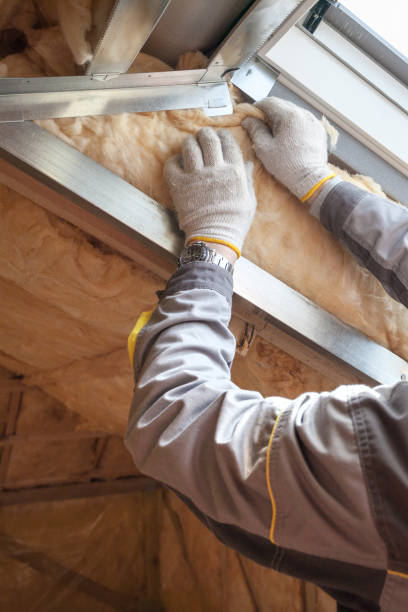 Best Commercial Insulation Contractor  in Shelburn, IN
