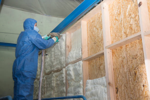 Professional Insulation Contractor in Shelburn, IN